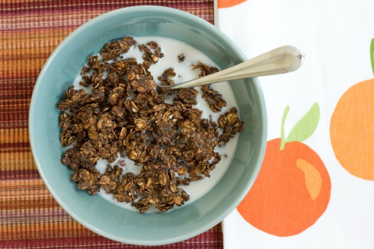 Chocolate Granola Crunch Cereal